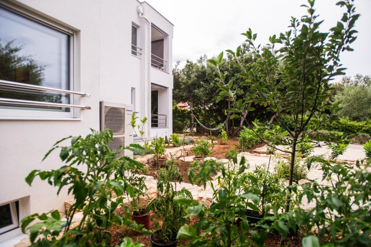 Apartments Jedro بيتريتْشاني المظهر الخارجي الصورة